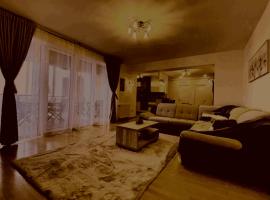 Prelepa prostrana kuća，位于Šipačina的酒店