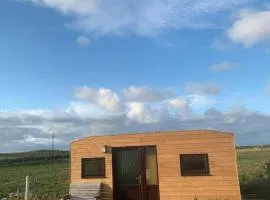 Dallymach pod