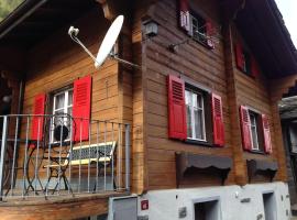 Chalet Julia mit Sauna，位于Eisten的酒店