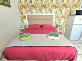 Studio et jardin "Le Coquet"