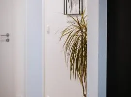 Kleine gemütliche Wohnung
