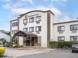 Comfort Inn Edgewater on Hudson River，位于埃奇沃特的酒店