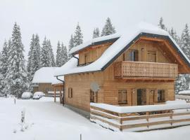 Schoenes Holzhaus In Flattnitz，位于Flattnitz的酒店
