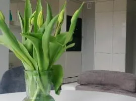 Apartament 35
