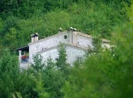 La Casa Nel Bosco