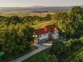 Stunning Home In Velika Nedelja