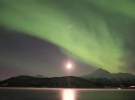 Arctic Sky Sanctuary