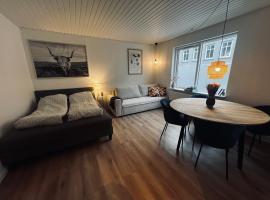 Cozy Flats Silkeborg - S2，位于锡尔克堡的酒店