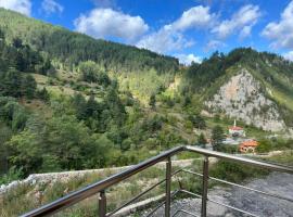 Стаи за гости Куцеви，位于代温的酒店