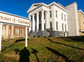 Hotel Callista，位于诺维奇的酒店