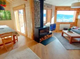 Chalet bois Vieux Cerf 12 pers proche Centre Ville