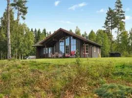 Nice Home In Gunnarskog With Lake View