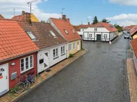 Pet Friendly Home In Rønne With Kitchen