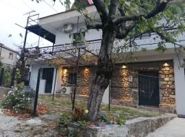 Παραδοσιακο σπιτι με εσωτερικο τζακι