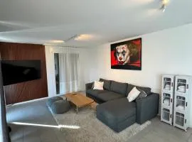 Great apartment in Lausanne