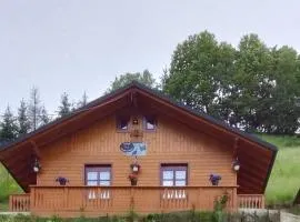 Cabana Picior de munte