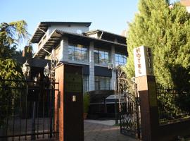 Hotel Royal Florence，位于基希讷乌基希讷乌国际机场 - RMO附近的酒店