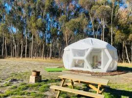 Coonawarra Hampton Bubble 5