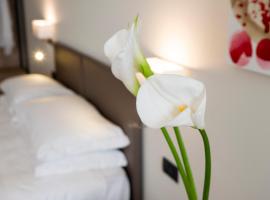 广场酒店，位于San Martino Siccomario的酒店