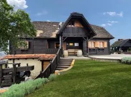 Stunning Home In Jastrebarsko