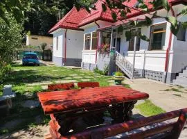 Little Bear Busteni 3