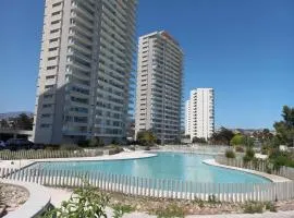 Departamento IV región