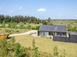 Three-Bedroom Holiday Home In Brovst