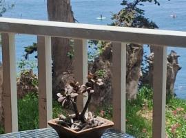 Bahia Pelícanos Horcón depto. en primera línea，位于普琼卡维的酒店