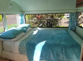 迪克森假日公园，位于泰晤士的带泳池的酒店