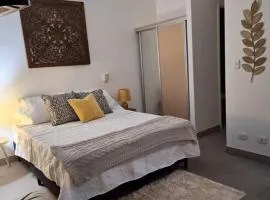 Lindo y céntrico apartamento en Santa Ana