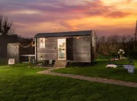 Nori's Nest, Shepherds Hut, Croft Hooper