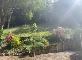 Secret Garden by Tiny Away