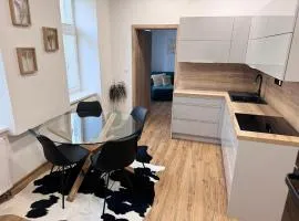 Sušilova 14 apartments I