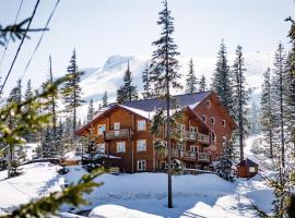 Alpin Eco Chalet & Wellness，位于德拉格布拉特的酒店