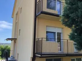 Apartment with beautiful view of Avala Mountain 3 rooms for 6 guests max SRB, DE, EN