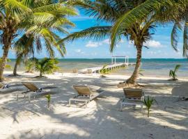 Panoramic Oceanfront Private Estate By Alom，位于圣佩德罗的酒店