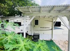 RV in the Little Jungle by Legnalife