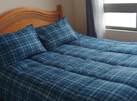 don federico tome，位于托梅的海滩酒店