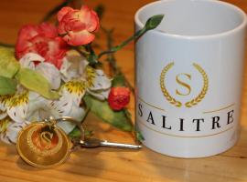 SALITRE SPA，位于Pozo Almonte的民宿