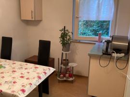 Dein Privat Zimmer in meiner Wohnung，位于弗莱堡的酒店