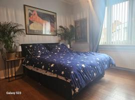Serenity Big Room，位于布鲁塞尔的酒店