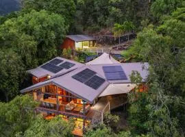 Rainforest Treehouse Sanctuary - with ocean views