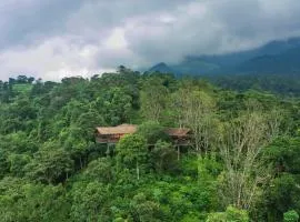 Vythiri Mist Resort