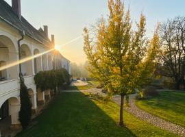 Schloss Welsdorf，位于菲尔斯滕费尔德的酒店