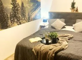 Apartmán Mlýn Herlíkovice 205