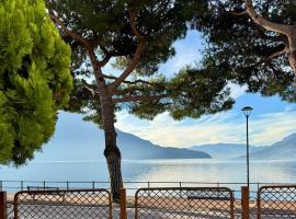 Vista Lago - Lake Como collection，位于多马索的酒店