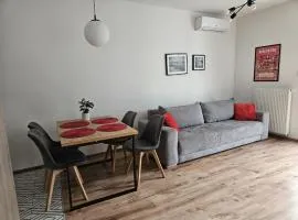 Urban Jungle Apartament Mercury