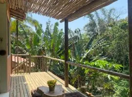 Jungle paradise in Paraty