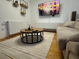 Apartman Petrovic，位于弗拉涅的酒店