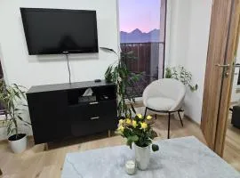 City apartment with moutain view - free parking